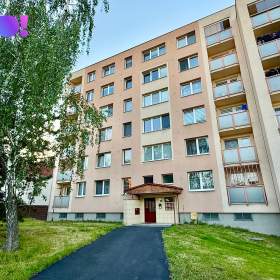 Prodej bytu 3+1, 64 m², ul. Horymírova, Ostrava -  Zábřeh / 19332575