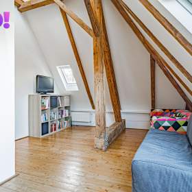 Foto inzerátu Prodej vily 7+kk se stavebním pozemkem, Frýdlant nad Ostravicí