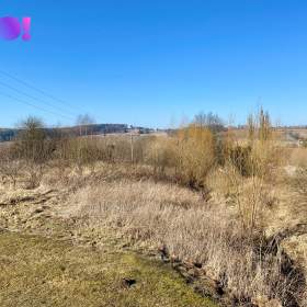 Foto inzerátu Prodej pozemku, 3 601 m², Větrný Jeníkov, okres Jihlava