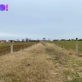 Foto inzerátu Prodej pozemku, 2 203 m², Blížkovice, okres Znojmo