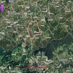 Prodej pole, 2696 m², Velká nad Veličkou / 19410333