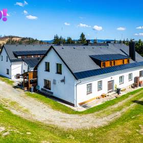 Prodej penzionu 800 m², pozemek 1 863 m², Chrastice, Staré Město / 19421341