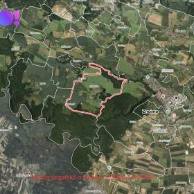 Prodej pole, 7618 m2, Maršovice / 19429298