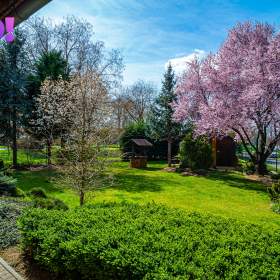 Foto inzerátu Prodej rodinného domu 427 m², pozemek 1191 m², ul. Nábřežní, Horní Moštěnice