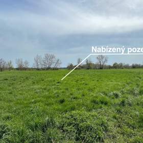 Prodej pozemku o výměře 4547 m² Olomouc -  Chomoutov / 19433245