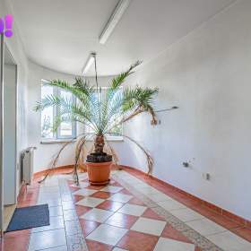 Foto inzerátu Prodej stolárny, 25 542 m², Prosenice