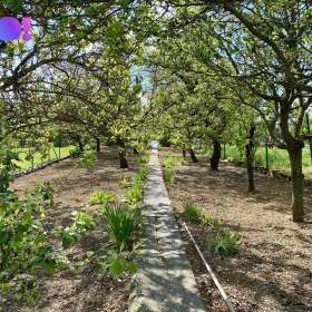 Foto inzerátu Prodej rodinného domu, Velatice, okres Brno-venkov