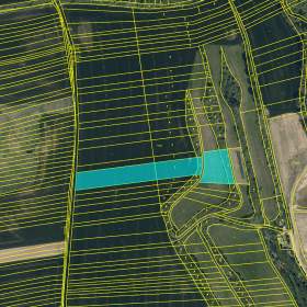 Foto inzerátu Prodej pole, 10874 m², Ořechov