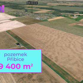 Prodej pole, 9 400 m², Přibice / 19457588