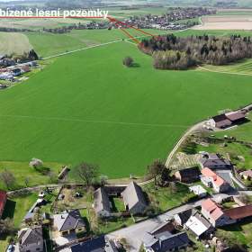Prodej lesa 25 088m2, Spálov / 19461828