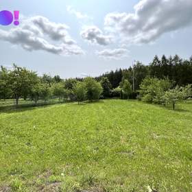 Prodej pozemku Veselíčko, okres Žďáru nad Sázavou / 19480208