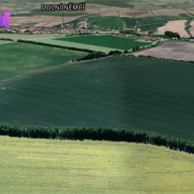 Foto inzerátu Prodej pole, 16 693 m², Dolní Němčí