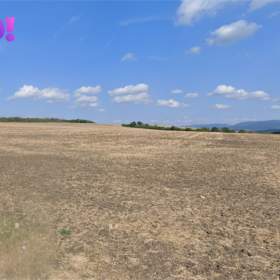 Foto inzerátu Prodej pole, 16 693 m², Dolní Němčí