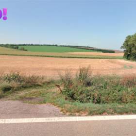 Foto inzerátu Prodej pole, 16 693 m², Dolní Němčí