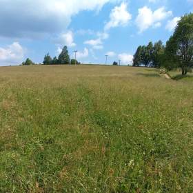 Prodej pozemku pro investici, 5 336 m², Křižánky / 19554978