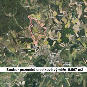 Prodej pole, 9567 m², Jalubí / 19554984