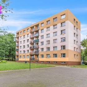 Pronájem bytu 1+1, 38 m², ulice Topolská, Chrudim / 19555255