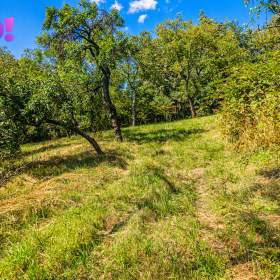 Foto inzerátu Prodej zahrady Samotišky