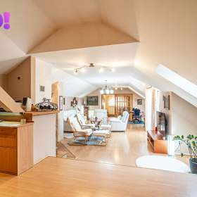 Foto inzerátu Prodej dvougeneračního rodinného domu, 442 m², pozemek 2 875 m², Červenka