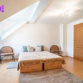 Foto inzerátu Prodej dvougeneračního rodinného domu, 442 m², pozemek 2 875 m², Červenka