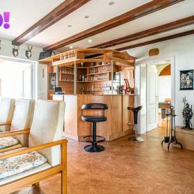 Foto inzerátu Prodej dvougeneračního rodinného domu, 442 m², pozemek 2 875 m², Červenka