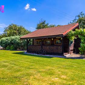 Foto inzerátu Prodej dvougeneračního rodinného domu, 442 m², pozemek 2 875 m², Červenka