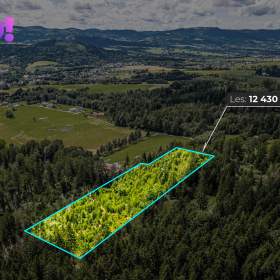Prodej lesa, 12430 m², Písek / 19555269