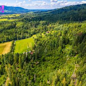 Foto inzerátu Prodej lesa, 12430 m², Písek