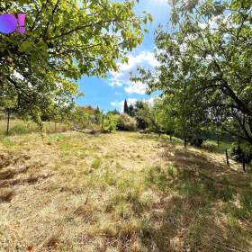 Foto inzerátu Prodej rodinného domu se zahradou, Nové Město na Moravě
