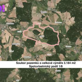 Prodej pole, 398 m², Dolce / 19563033