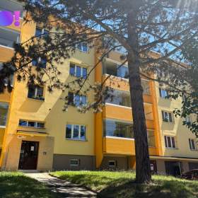 Prodej bytu 2+1, ul. Haškova, Karviná- Ráj / 19567388