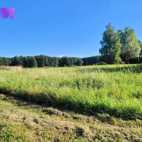 Fotka k inzerátu Prodej pozemku 1500 m2, Dolní Marklovice, Petrovice u Karviné / 19622747