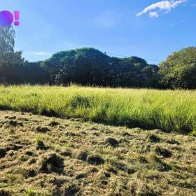 Foto inzerátu Prodej pozemku 1500 m2, Dolní Marklovice, Petrovice u Karviné