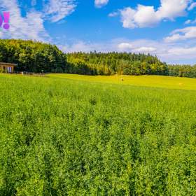 Foto inzerátu Prodej pozemku určeného k bydlení, 1 505 m², Jevany okr. Praha východ