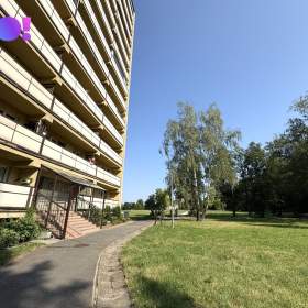 Prodej bytu 1+kk, ul. Žižková, Karviná / 19592119