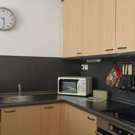 Foto inzerátu Prodej rekreačního apartmánu 1+kk, Lipno nad Vltavou