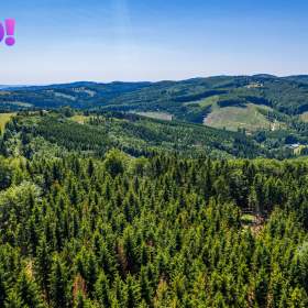 Foto inzerátu Prodej vily 196 m², pozemek 6 428 m², Na Trojáku, Rajnochovice