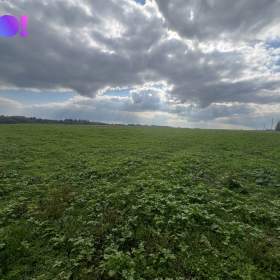 Foto inzerátu Prodej stavebního pozemku 1000 m² Vřesina u Ostravy