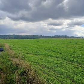 Foto inzerátu Prodej stavebního pozemku 1000 m² Vřesina u Ostravy