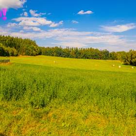 Foto inzerátu Prodej rodinného domu 120 m², s pozemkem 1 505 m², Jevany okr. Praha východ