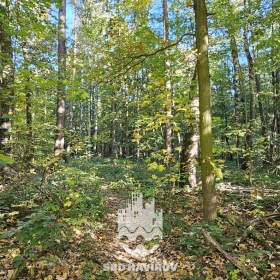 Foto inzerátu Prodej bytu 2+1 50 m², Havířov
