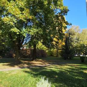 Foto inzerátu Prodej bytu 2+1 50 m², Havířov