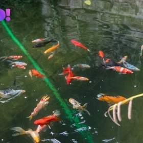 Foto inzerátu Prodej rodinného domu / vily, České Budějovice