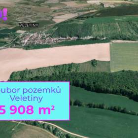 Prodej pole, 5 908 m², Veletiny / 19642111