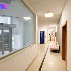 Pronájem kanceláře 420 m² se sdílenou recepcí – Žerotínova, Praha 3 – Žižkov / 19642124