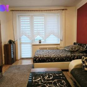 Prodej bytu 1+1 Havířov -  Podlesí, ul. Družstevnická / 19657187