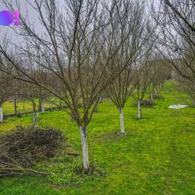 Foto inzerátu Prodej stavebního pozemku, 1 000 m², Dub nad Moravou, okres Olomouc