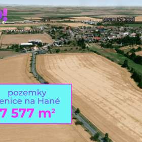 Prodej pole, 7 577 m², Senice na Hané / 19865215