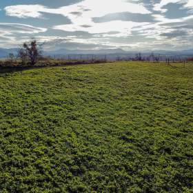 Prodej pozemku 4 357 m², Těrlicko / 19865514