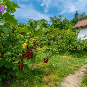 Foto inzerátu Prodej chaty 47 m², pozemek 834 m², Pstruží
